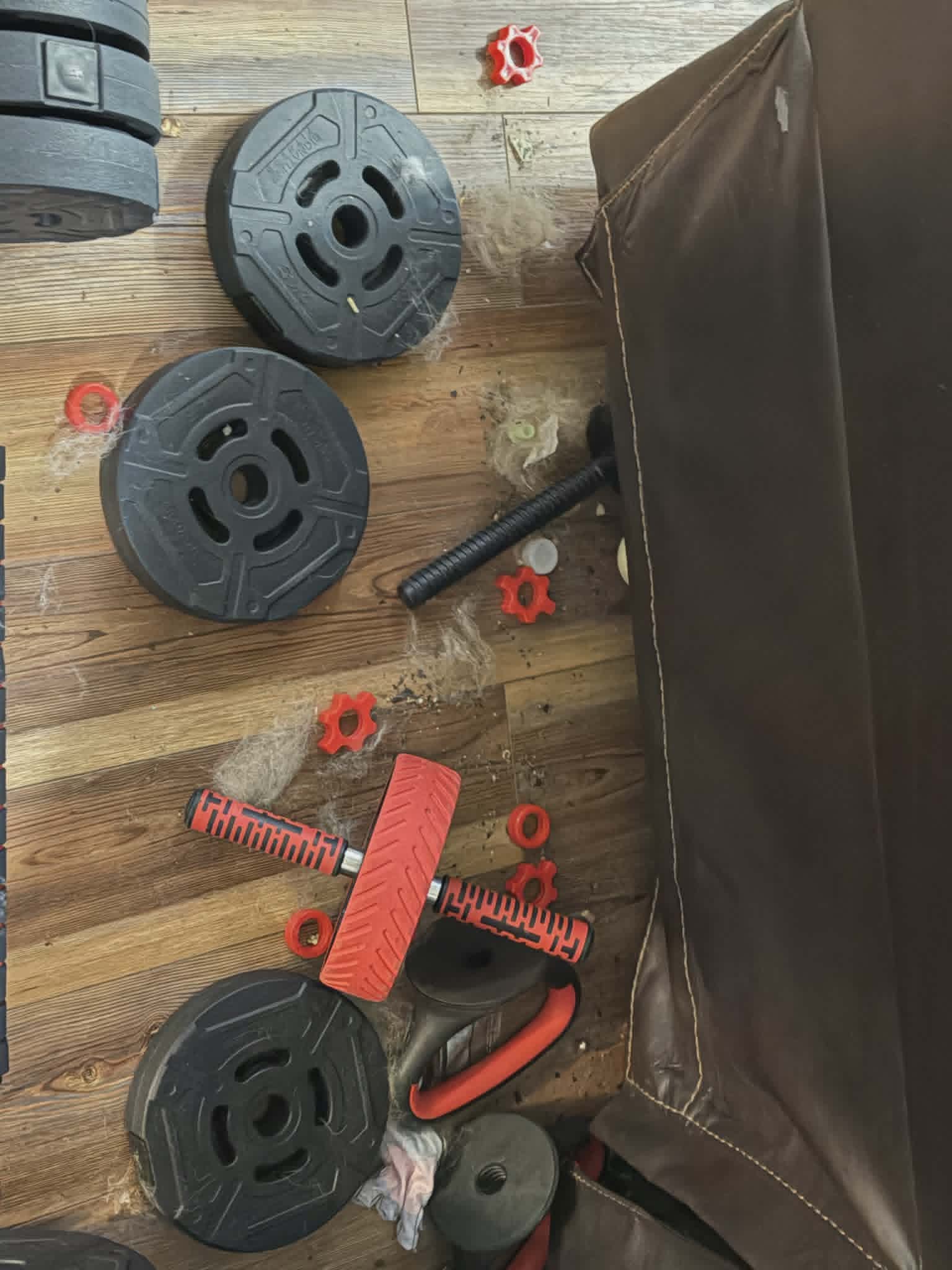 Floor covered in pet hair and dust before cleaning